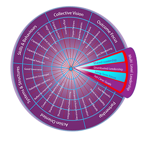 Multi-Level Leadership